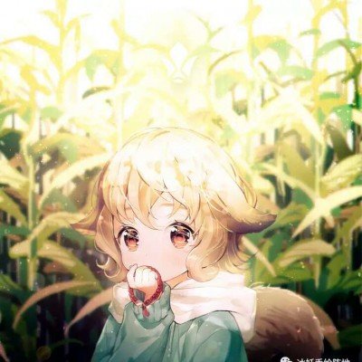 在家遭带狂犬病流浪狗咬伤女子发声